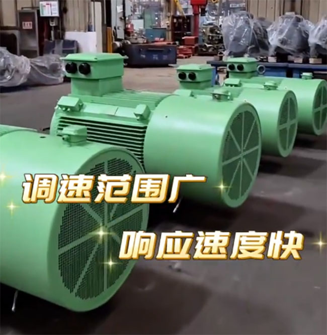 图为西安西玛YEF3系列高效电机照片